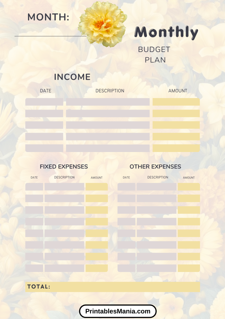 Budget Planner Template for Various Financial Needs