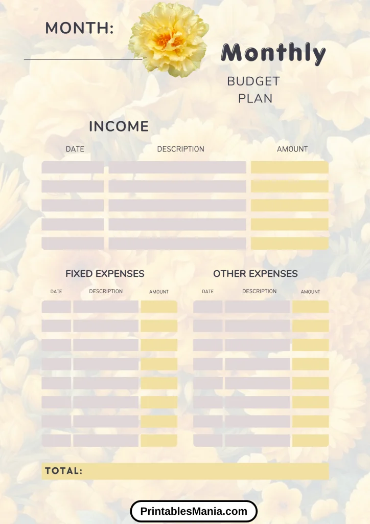 Budget Planner Template for Various Financial Needs