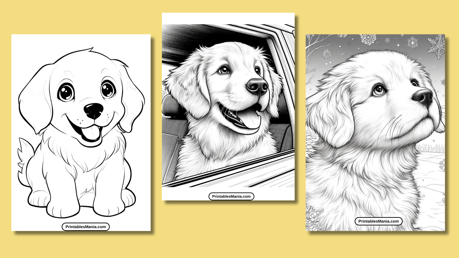 Golden Retriever Puppy Coloring Page