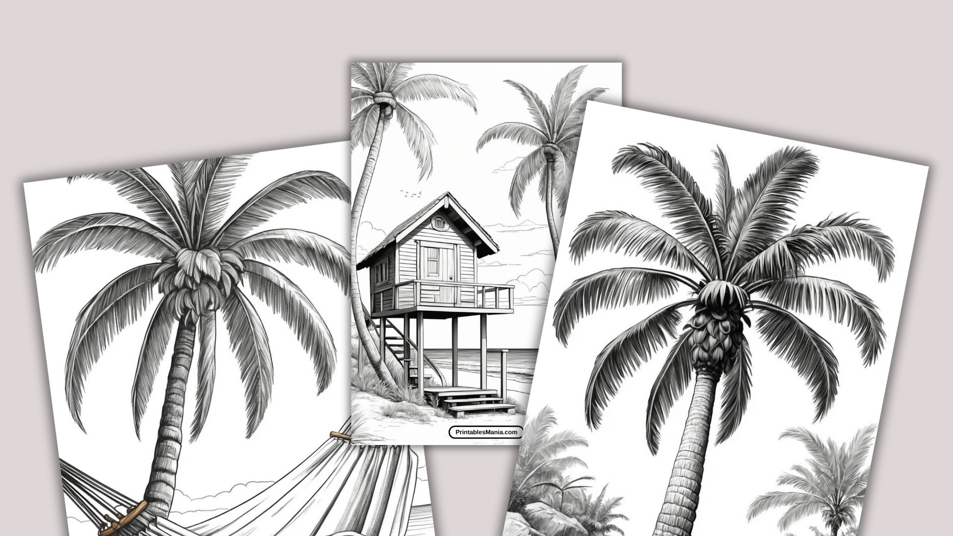 Palm Tree Coloring Page