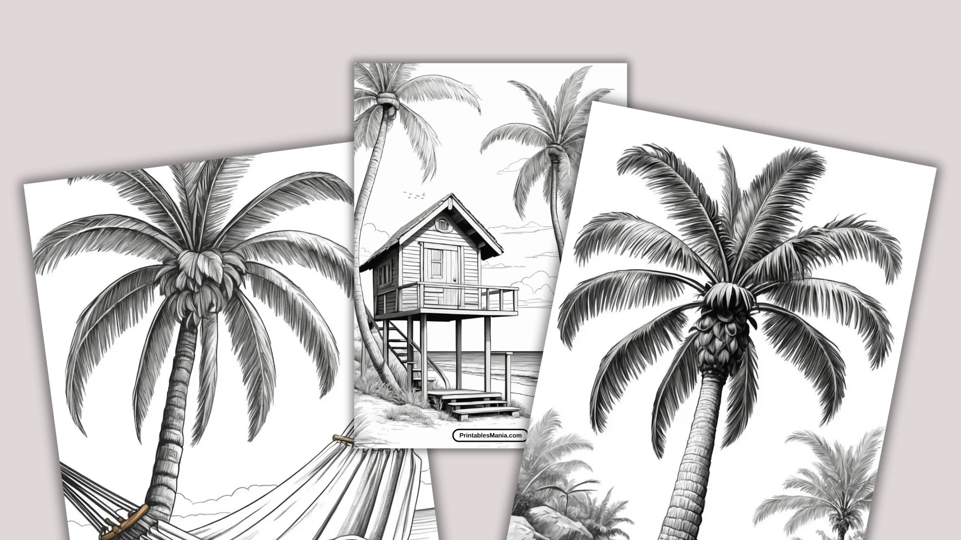 Palm Tree Coloring Page