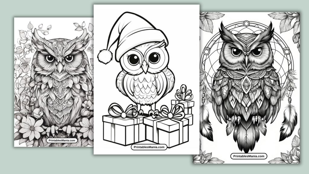 Owl Coloring Pages Printable - Printables Mania