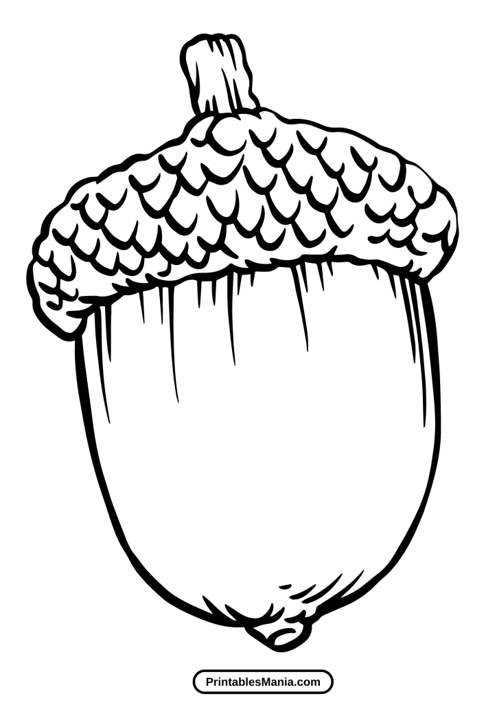 acorn template printable