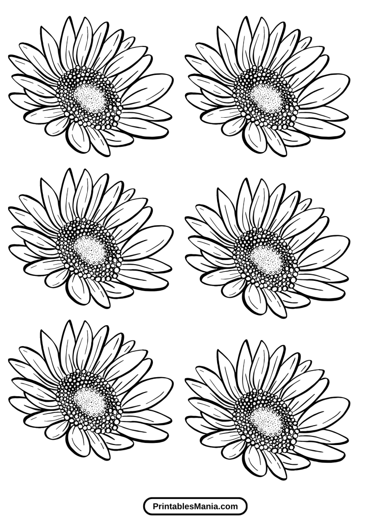 printable sunflower and nature coloring template