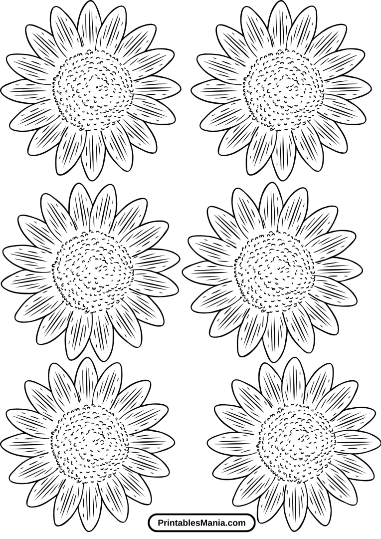 Sunflower Template.pdf Sunflower Printable Template - Printables Mania