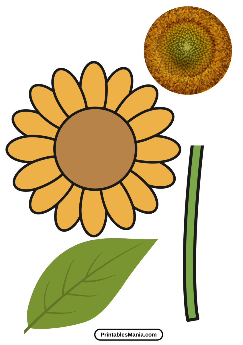 Sunflower Printable Template - 3 12 848x1200 