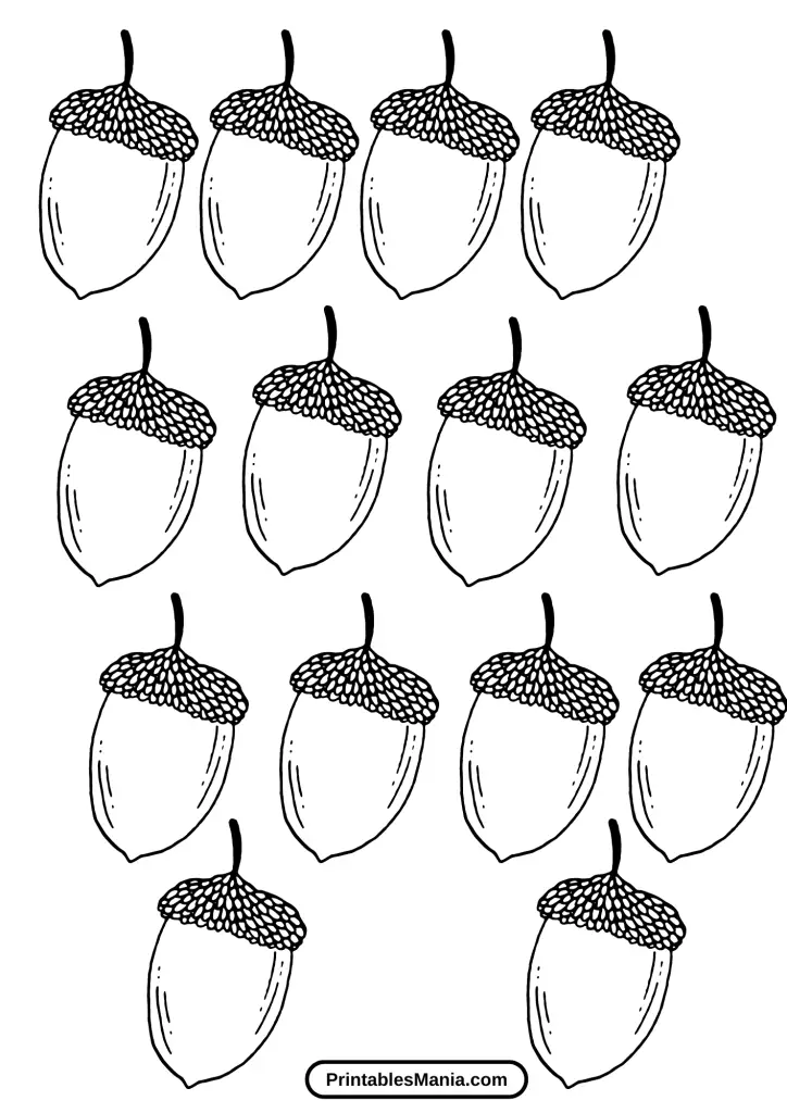 printable acorn template for classroom use