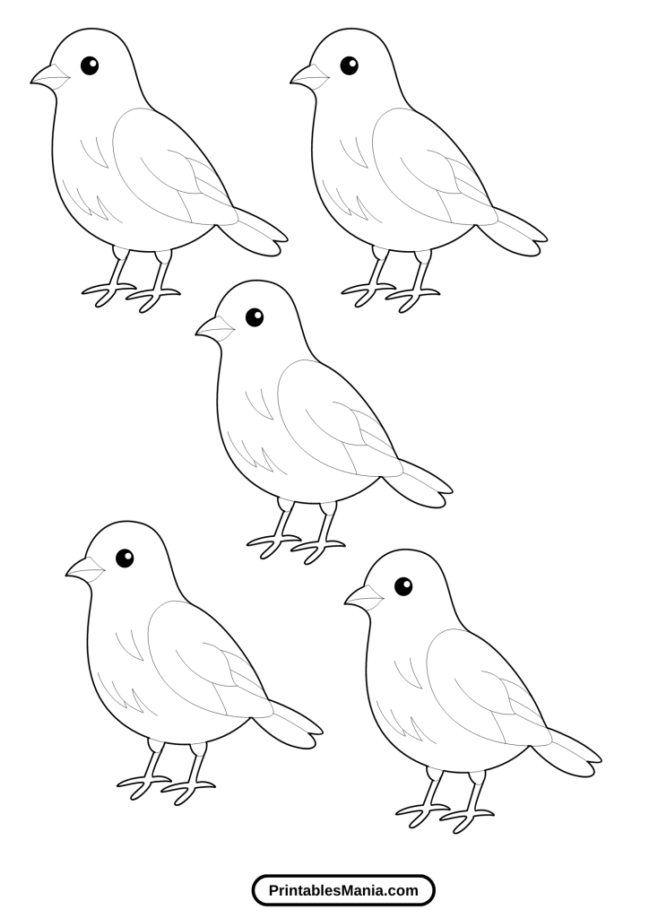 bird template printable free download