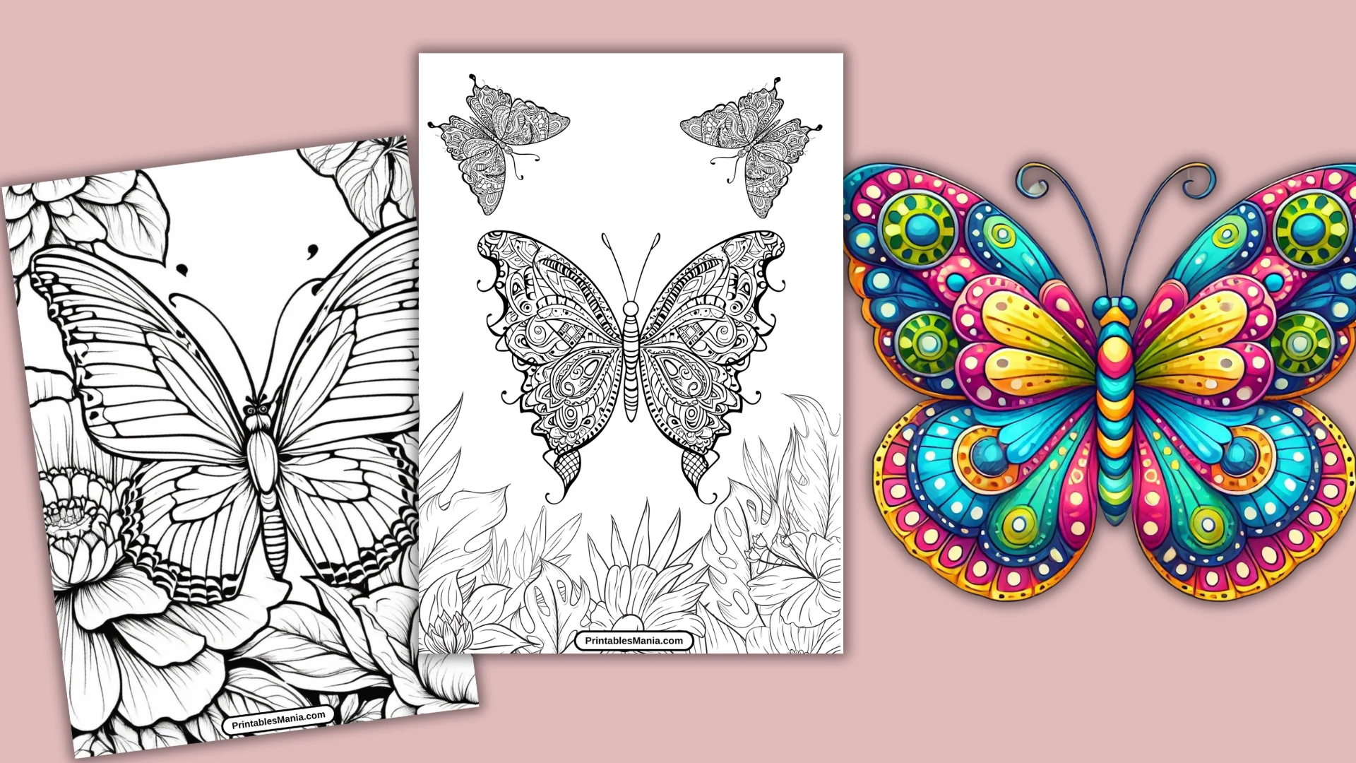 Butterfly Coloring Pages