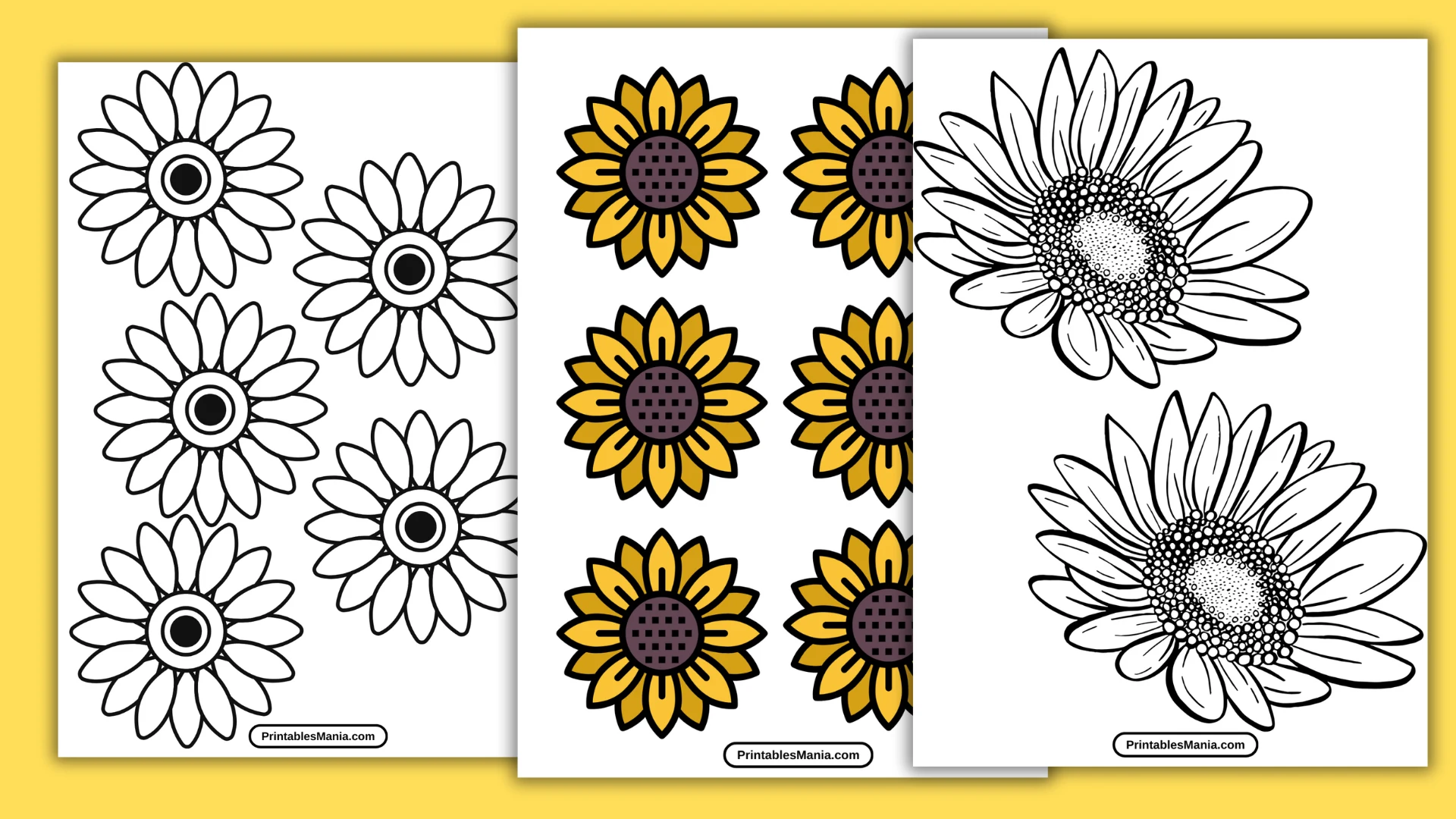 Sunflower Printable Template