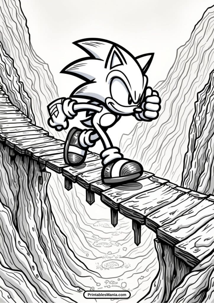 download sonic 3 coloring page pdf now