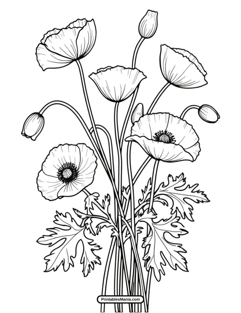 beautiful poppy coloring page