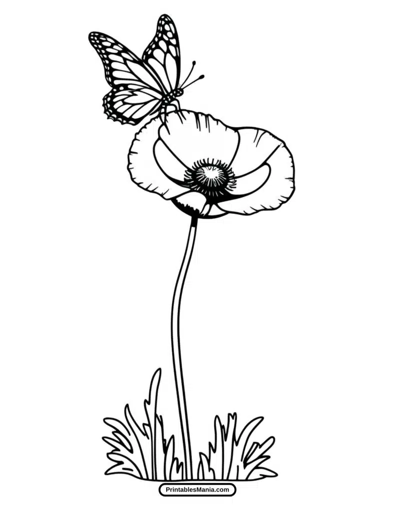 poppy flower coloring sheet with calming patterns