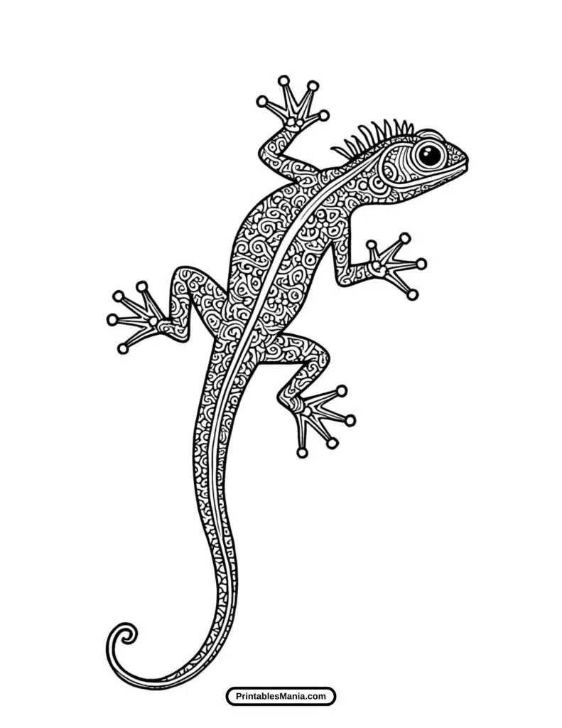 printable lizard sketch to color