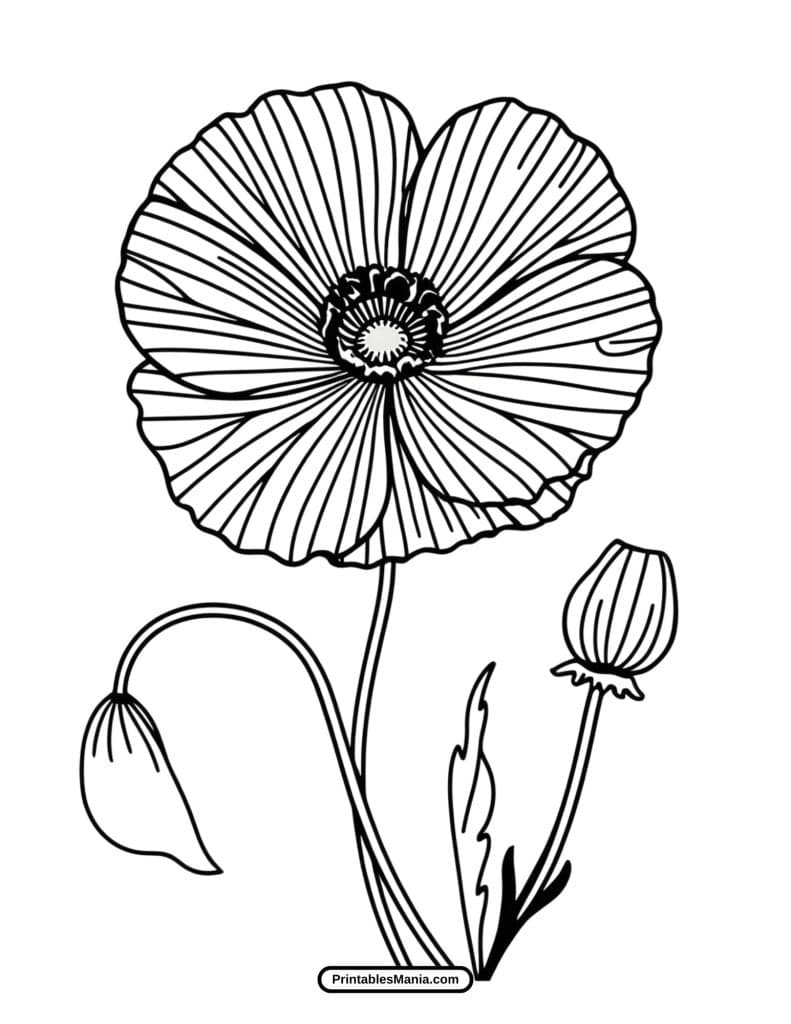 poppy coloring page for kids with simple petals