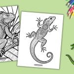 Lizard Coloring Page